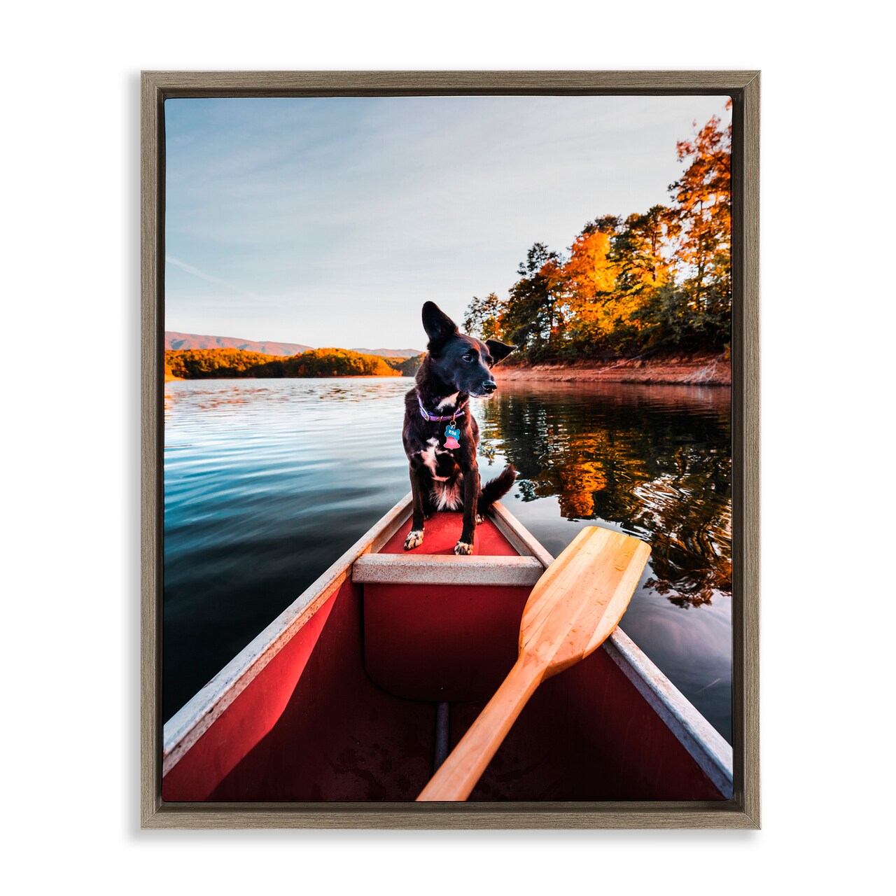 Stupell Industries Pup And Paddles Floating Frame, design by Jared Kreiss